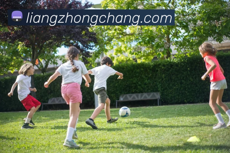 登录器 登录器